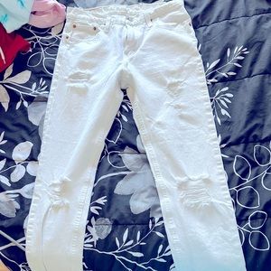 Mens pants